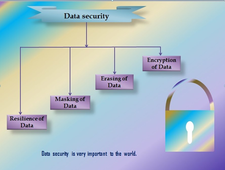 What is data Security